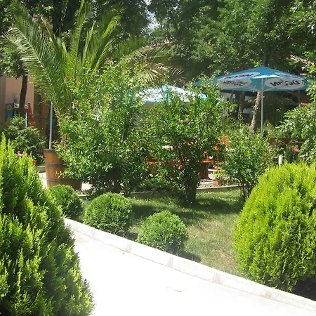 Sunny Paradise Family Kiten (Burgas)