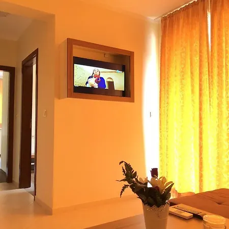 Sunny Paradise Family