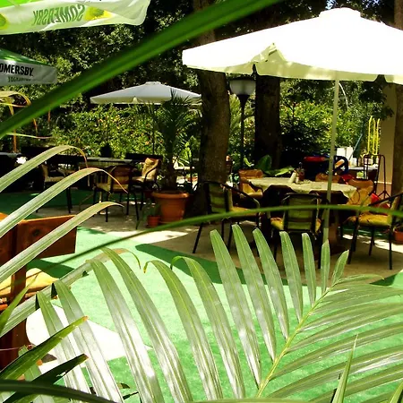 Отель Sunny Paradise Family 3*